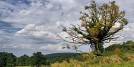 Ravne, National Park Fruška gora