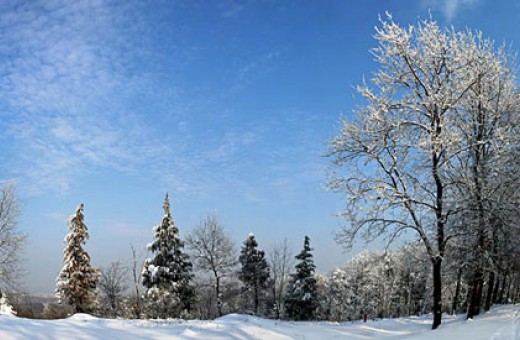 Crni čot, Nacionalni park Fruška gora