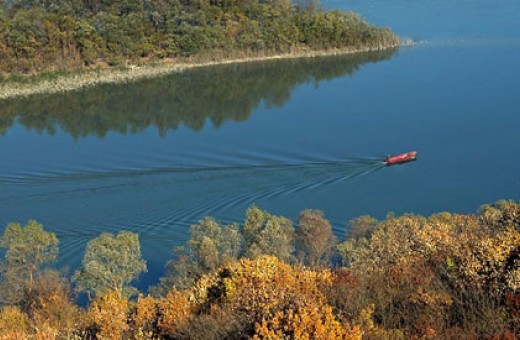 The Danube river near Čortanovaca, NP Fruška gora