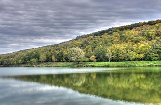 Jezero Bruje, National Park Fruška gora