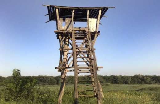 Watchtower, Nature park Obedska bara