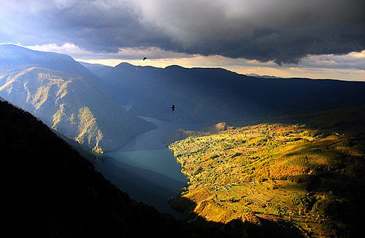 National Park Tara