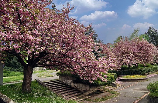 Park prijateljstva - Vrnjačka banja