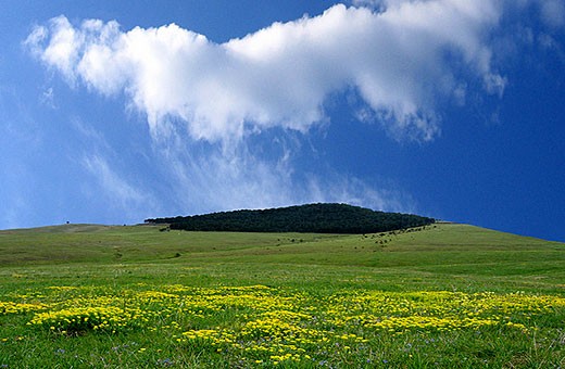 Pejzaš sa Zlatibora