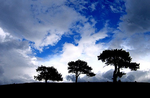 Landscape Zlatibor