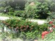 Pogled na baštu, Apartmani Bahus - Vrdnik