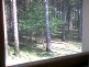 Apartman1 pogled kroz prozor sobe, Apartmani Aćimović - Zlatibor