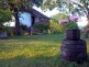 Garden, Households Pavlović, village Vlakča - Kragujevac