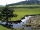 Zlatibor, Village Očka Gora - Zlatibor