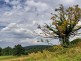 Ravne, National Park Fruška gora