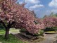 Friendship park - Vrnjačka banja