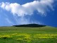 Landscape Zlatibor