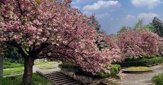 Friendship park - Vrnjačka banja