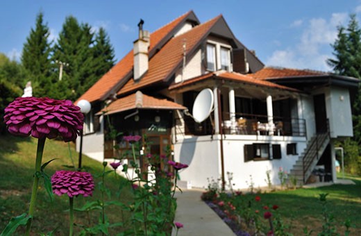 Apartments Vlasinski Vrtovi - Vlasina lake