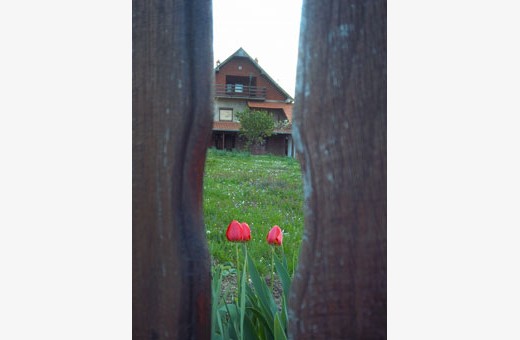 House, Households Pavlović, village Vlakča - Kragujevac