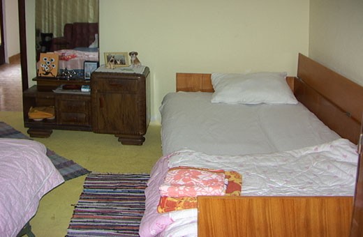 Room 1/2, Magda's House - Novi Sad