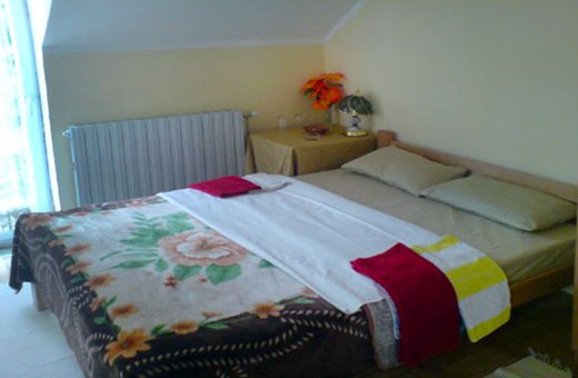 Room 1/2, Boarding house Lug - Belgrade