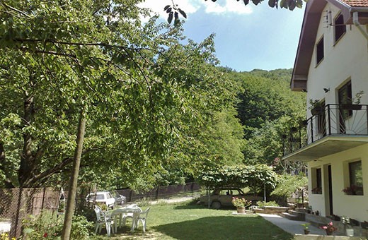 Courtyard, Rural household Krstivojević - Village Krčmar