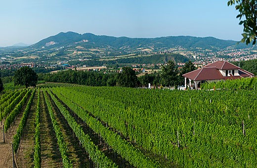 Vinograd, Smeštaj i restoran TARPOŠ-Aranđelovac