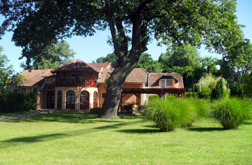 Room, Villa Elizabet - Palić