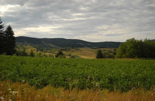 Rezervat biosfere Golija, Pansion Nebo - selo Rudno