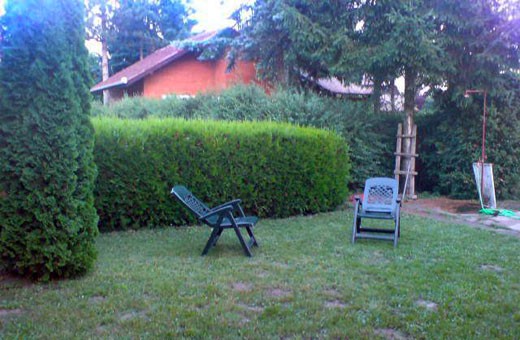 Yard, Apartment Anđela - Palić