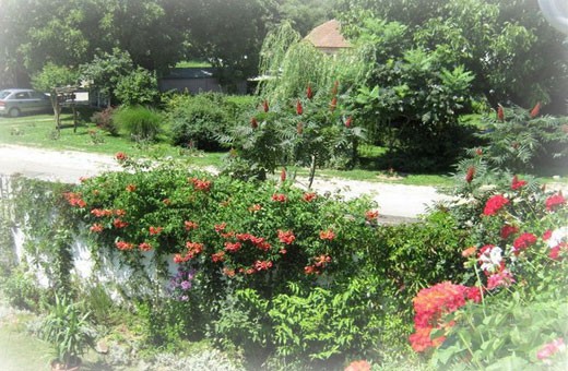 View on garden, Apartments Bahus - Vrdnik