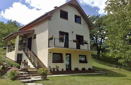 House, Rural household Krstivojević - Village Krčmar