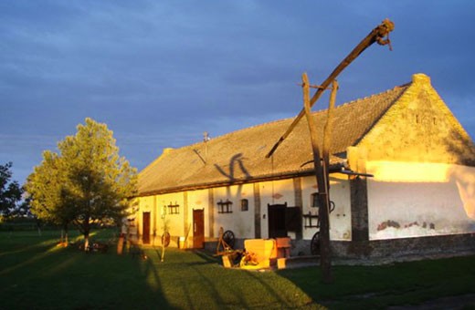 Brkin farmhouse - Čenej, Novi Sad