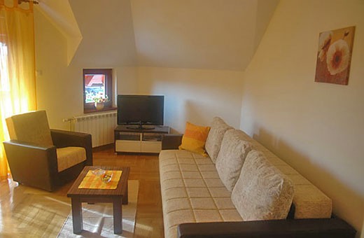 Apartman 1 Dnevna soba - Apartmani Zlatiborski Jasmin
