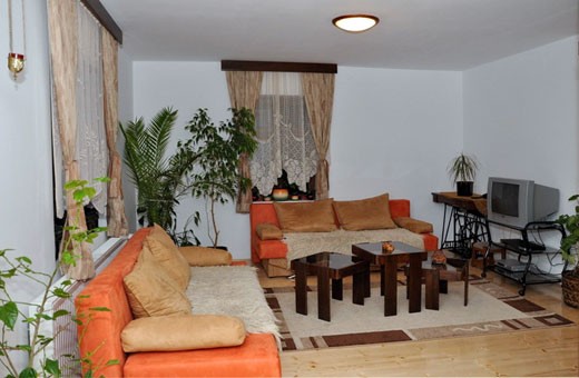 Lux apartman dnevna soba, Vila Bogdanović - Stara Planina