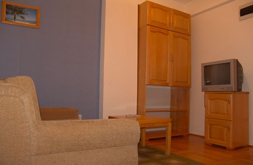 Living room, Apartments Budimlija - Banja Koviljača