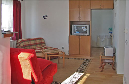 Dnevni boravak, Apartman Slobo - Zlatibor