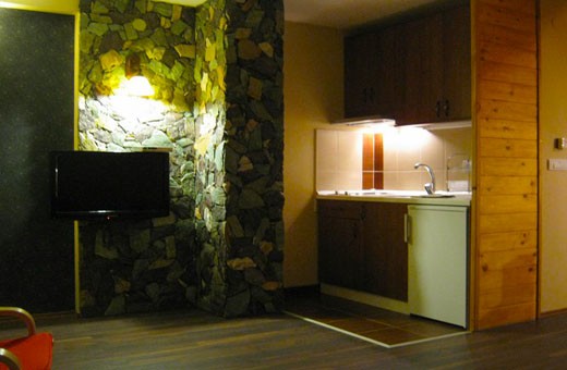 Apartmani Snežna Kuća - Kopaonik