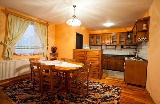 Apartment 5 kitchen and dining room, Pension Dabić - Zlatibor