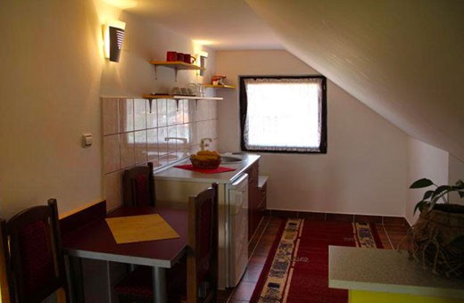 Studio 1 kuhinja, Apartmani Nika - Zlatibor