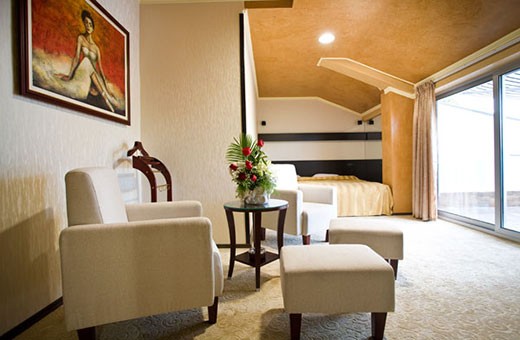 Exclusive apartment, Best Western Prezident Hotel - Novi Sad