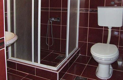 Bordeaux studio Bathroom, Apartments Blue House - Zlatibor