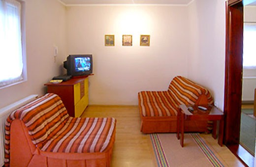 Living room Apartment 2, Apartments Kovačević - Zlatibor