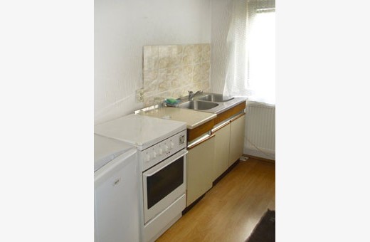 Apartment kitchen, Villa Sanja - Zlatibor