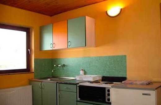 Kuhinja u apartmanu, Smeštaj Tešević - Zlatibor