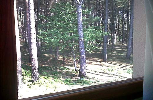 Apartman1 pogled kroz prozor sobe, Apartmani Aćimović - Zlatibor