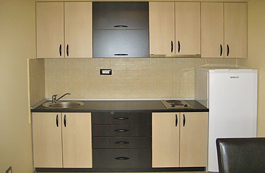 Kitchen, Apartments Banjski Raj - Spa Vrujci