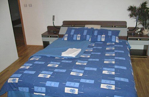 Room 1/2, Motel Markov Konak - Donja Gušterica