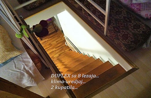 Duplex, Smeštaj Novi Sad