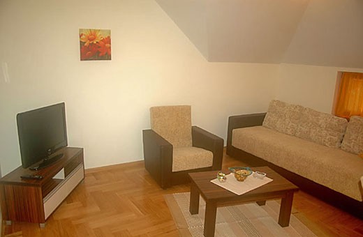 Apartman 2 Dnevna soba - Apartmani Zlatiborski Jasmin