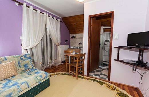 Apartment 3 living room, Pension Dabić - Zlatibor