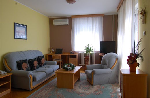 Lux apartment living room, Voyager bed&breakfast - Novi Sad