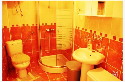 Apartment A1 Bathroom, Apartments Srećica - Zlatibor