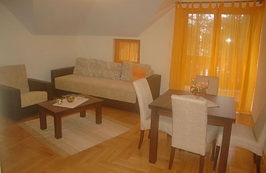 Apartman 2 Dnevna soba - Apartmani Zlatiborski Jasmin